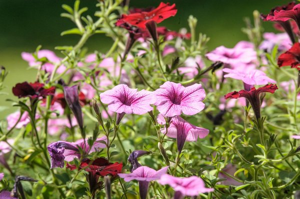 Ultimate guide to mastering cellar damp-proofing in the uk: proven strategies for a dry, secure home